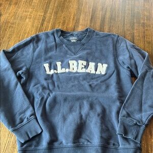 L.L. Bean Men's Blue Crewneck Sweater